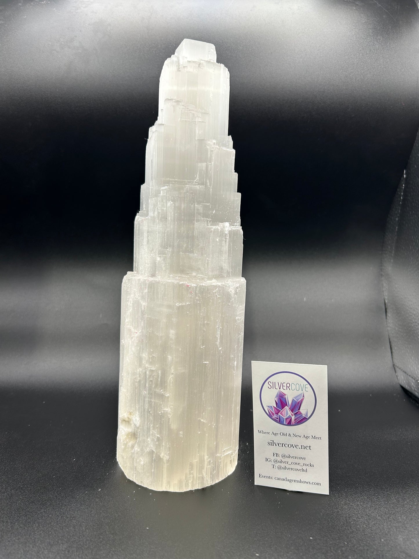 30cm Selenite Lamp (6pc Case)