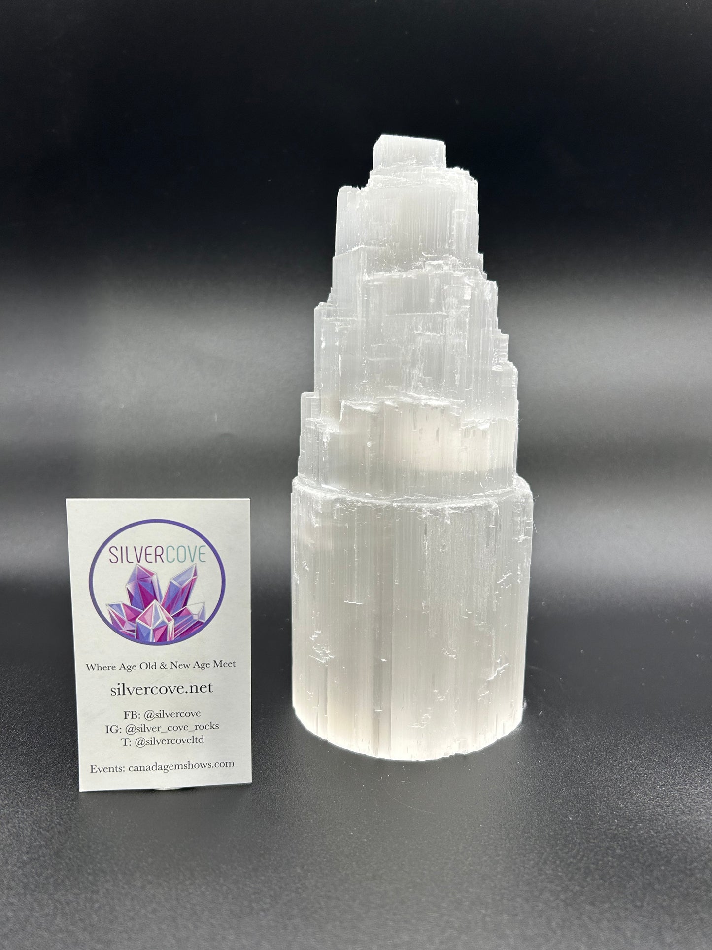 20cm Selenite Lamp (10pc Case)