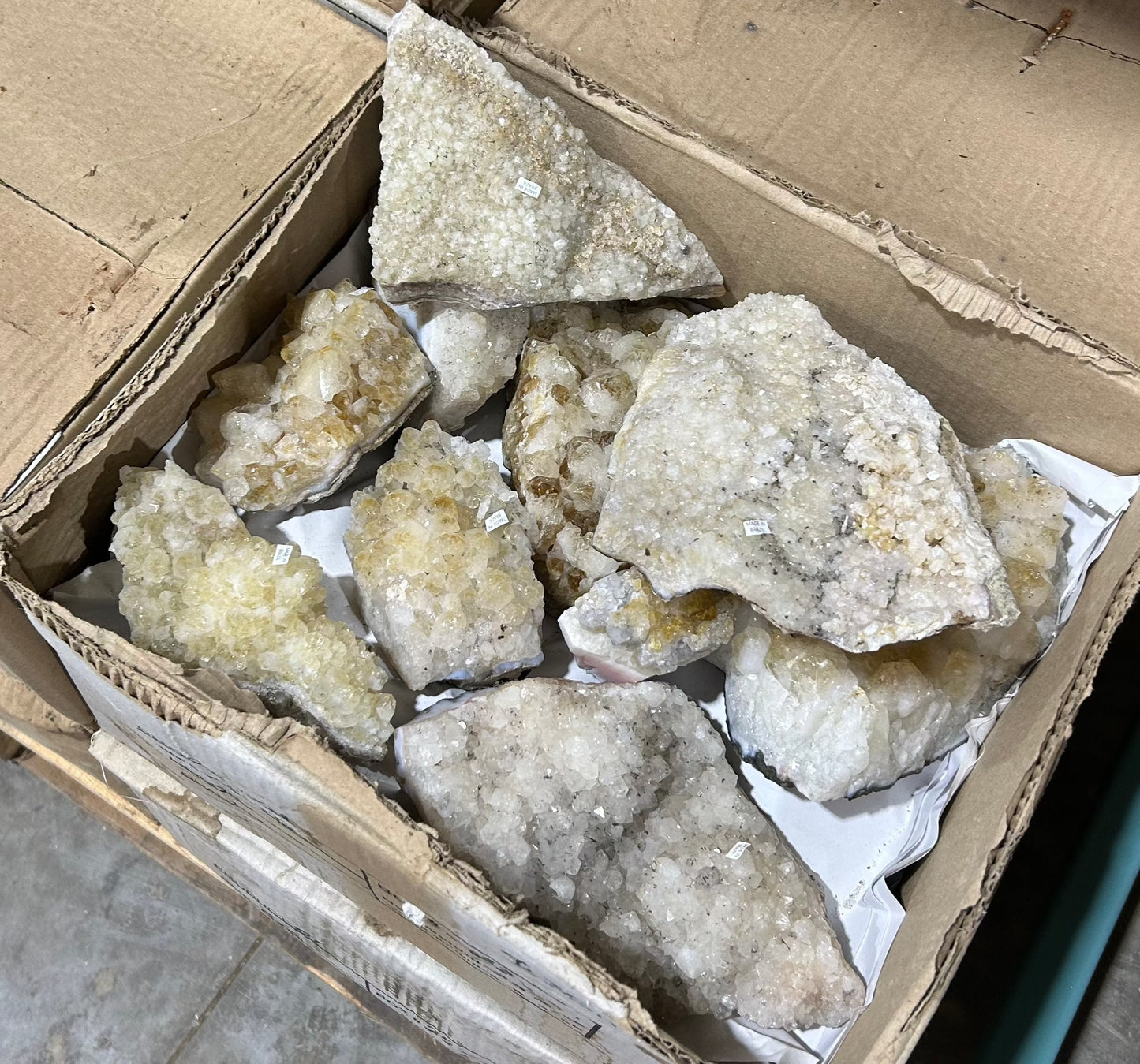 Large Citrine Clusters (Case)