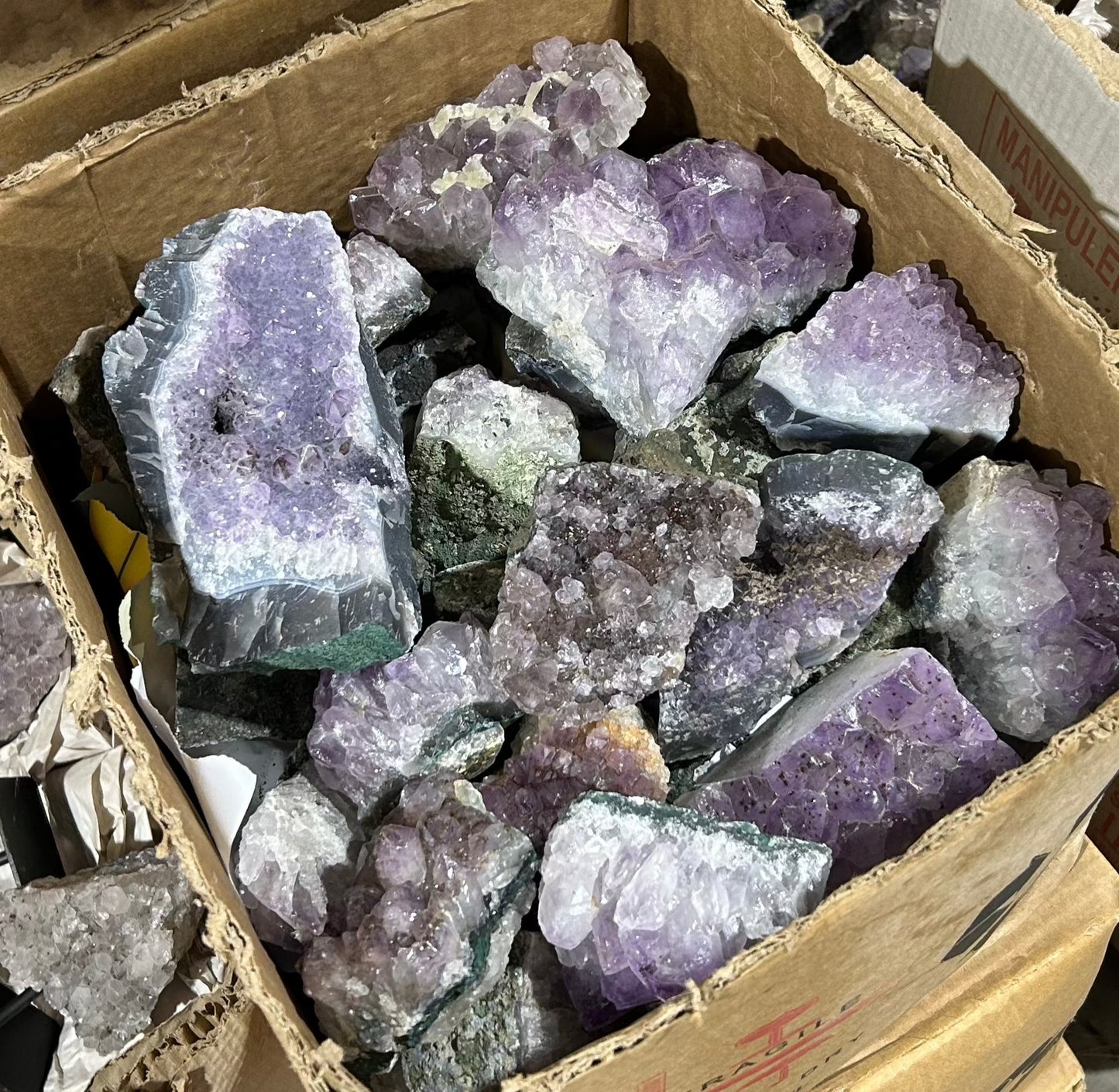 Amethyst Clusters (Case)