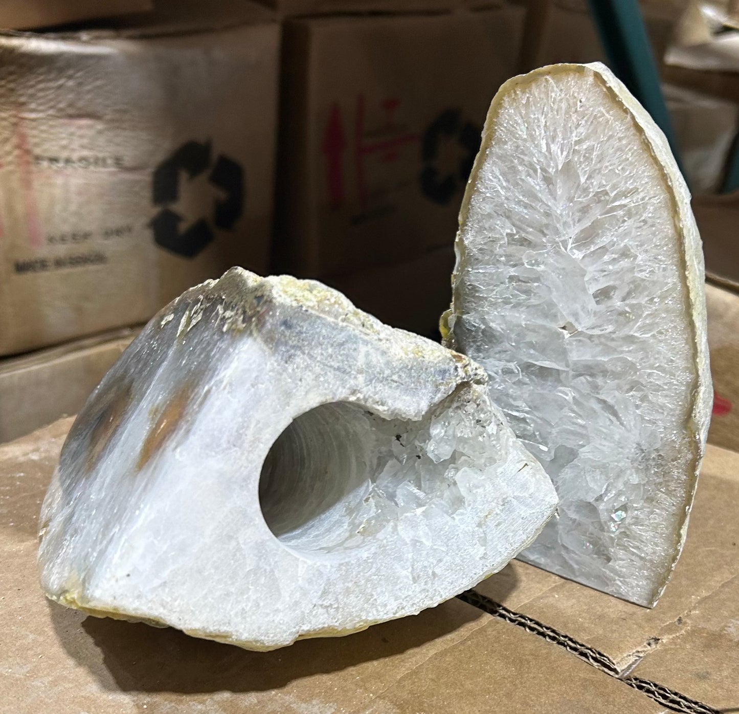 Agate Lamp (8pc Case)