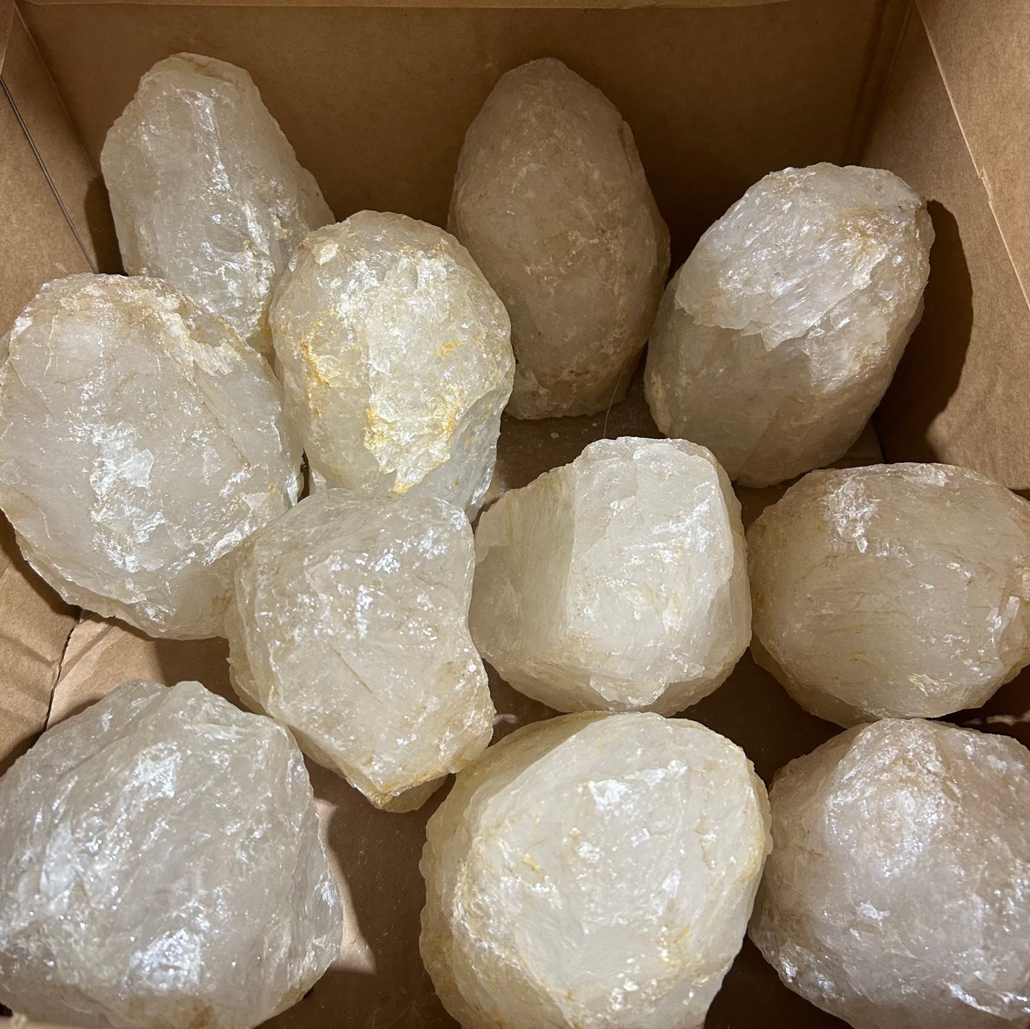 Rough Quartz Lamp (12pc Case)