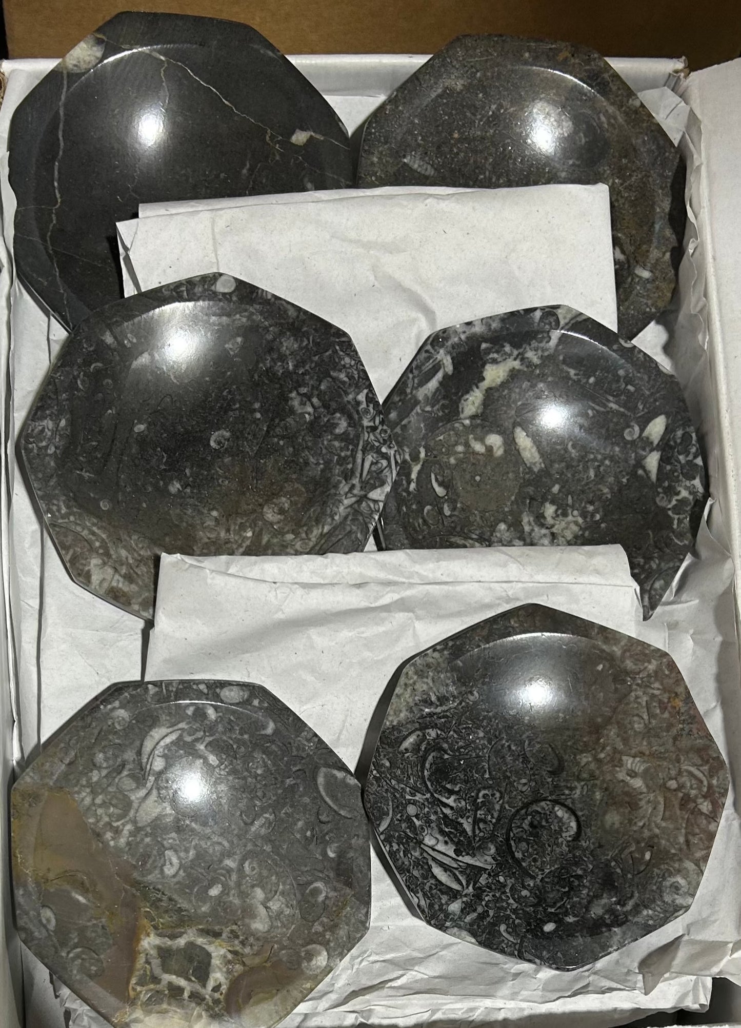 Orthoceras/Ammonite Hexagon Plate (Case)