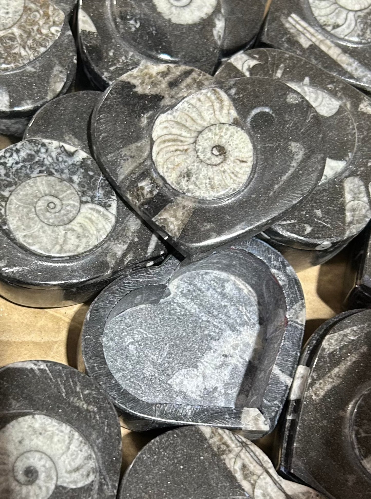 8cm Goniatite Heart Box (Case)