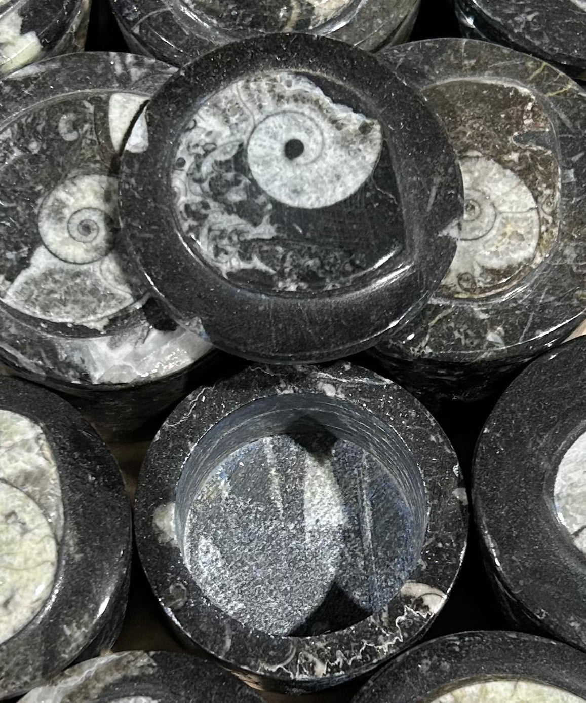 5 cm Goniatite Round Box (Case)