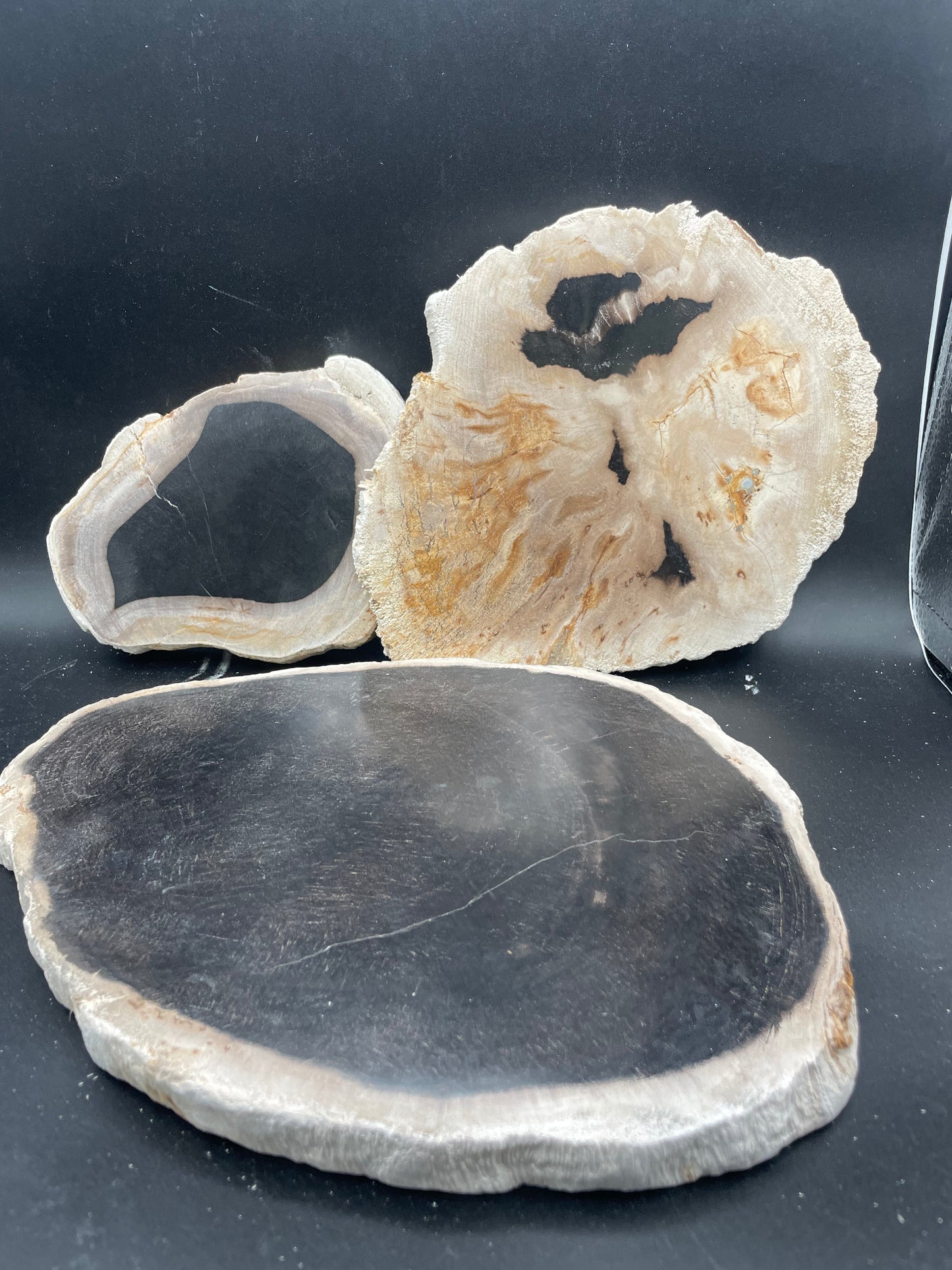 Petrified Wood Slabs (3pc Flat)