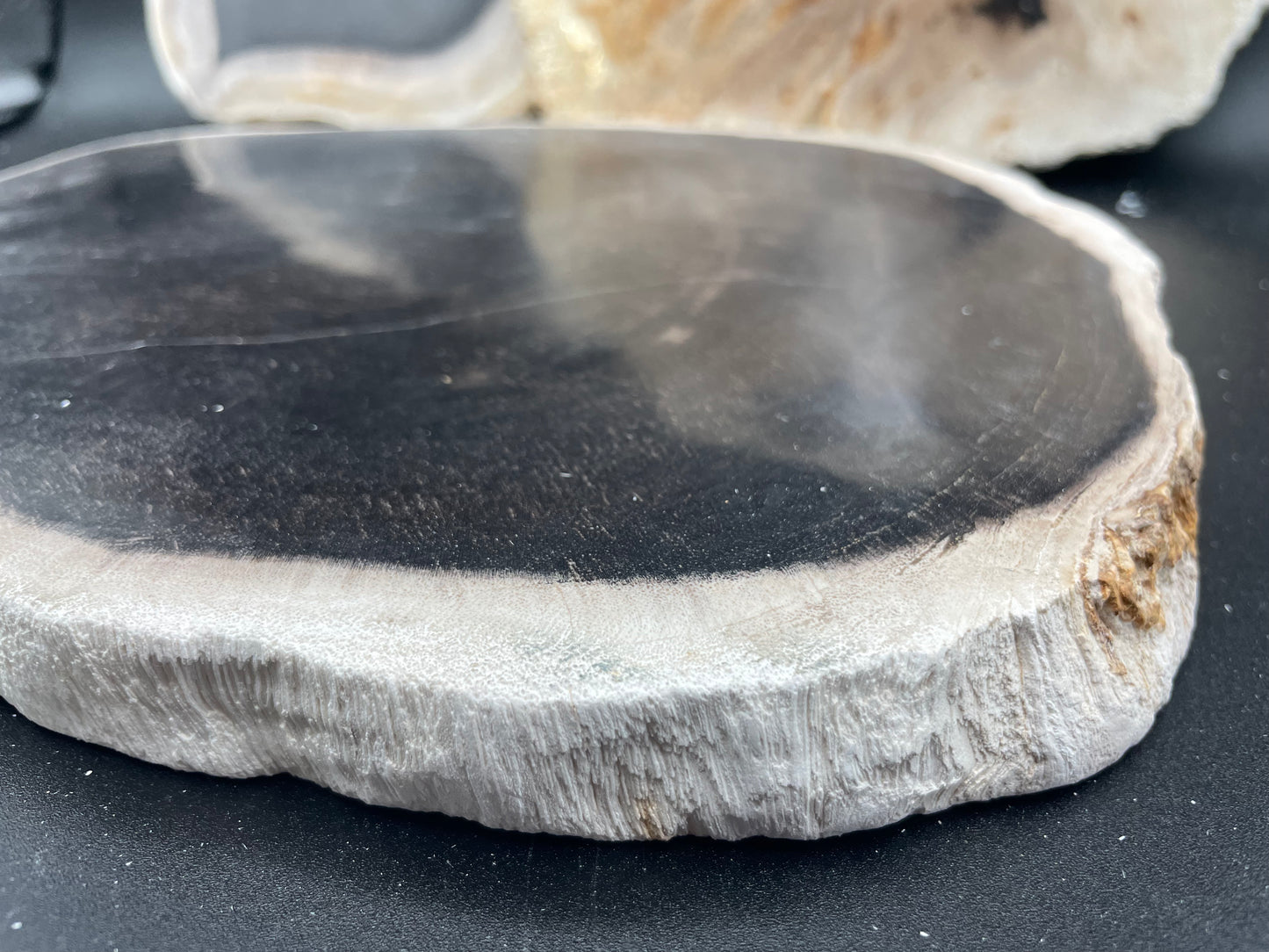 Petrified Wood Slabs (3pc Flat)