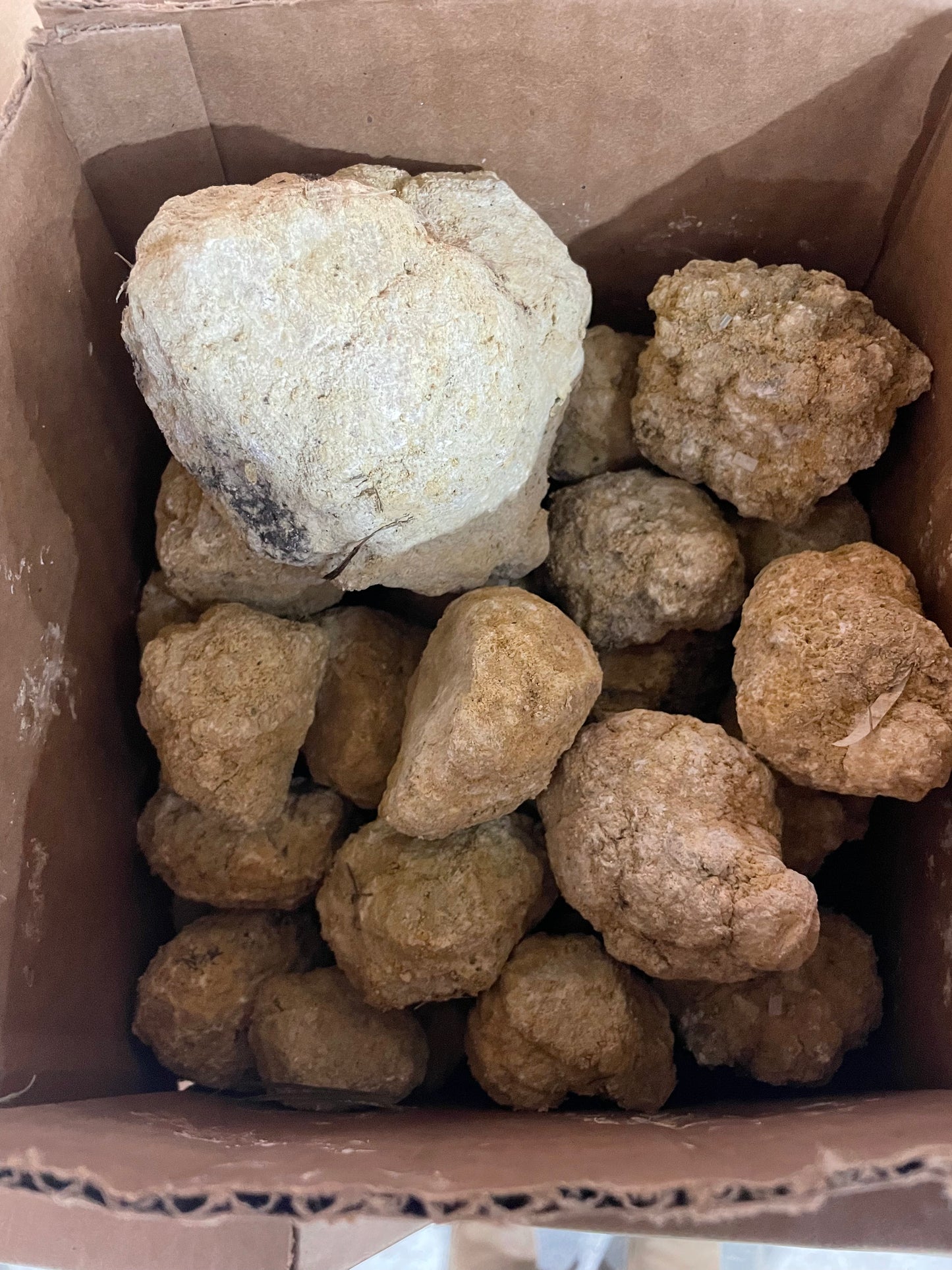Mixed Size Geodes (Box)