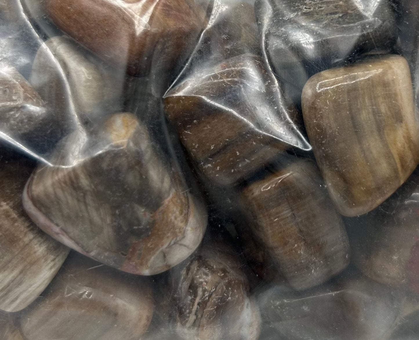 Petrified Wood 1lb Tumbled Bag