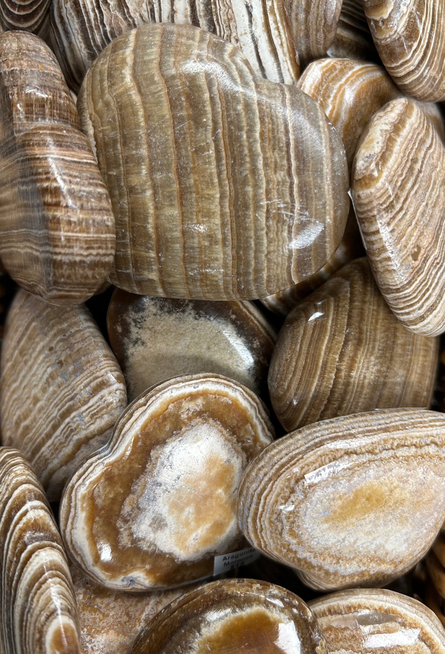 Aragonite Hearts (Case)