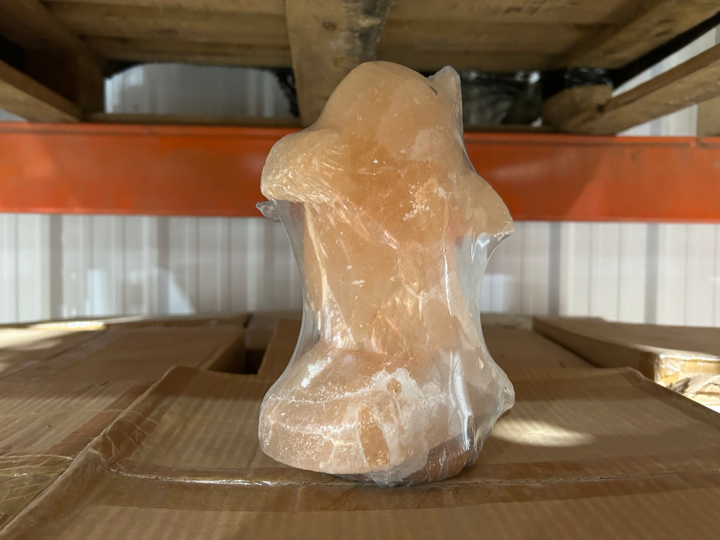 Dolphin Carved Salt Lamp (4pc Case)