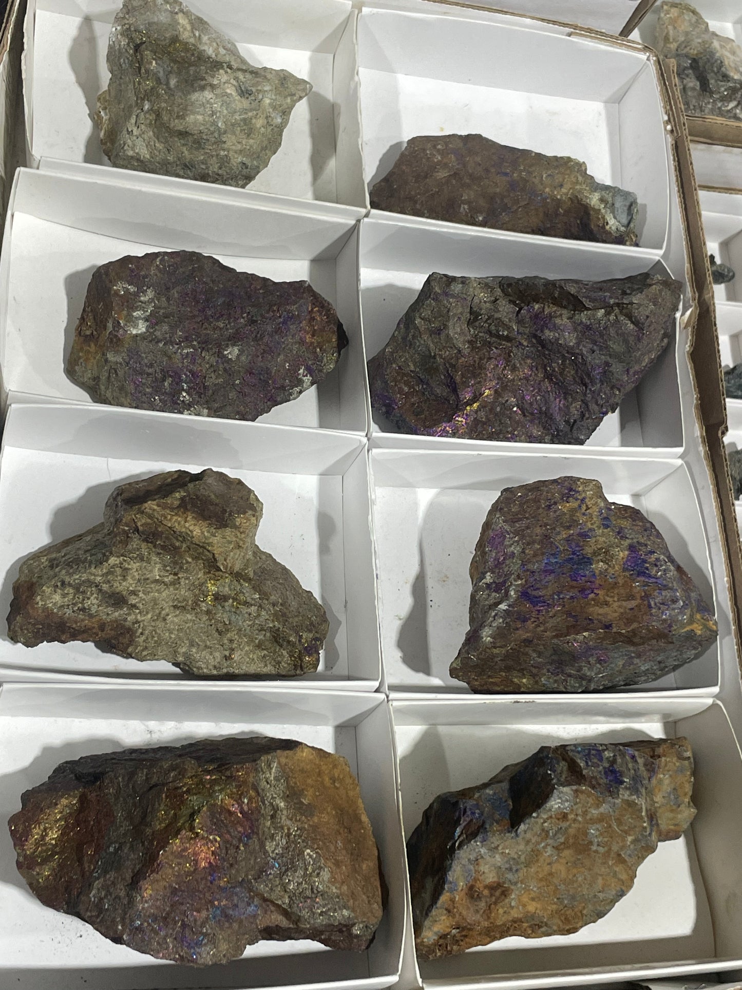 Canadian Chalcopyrite (Flat)