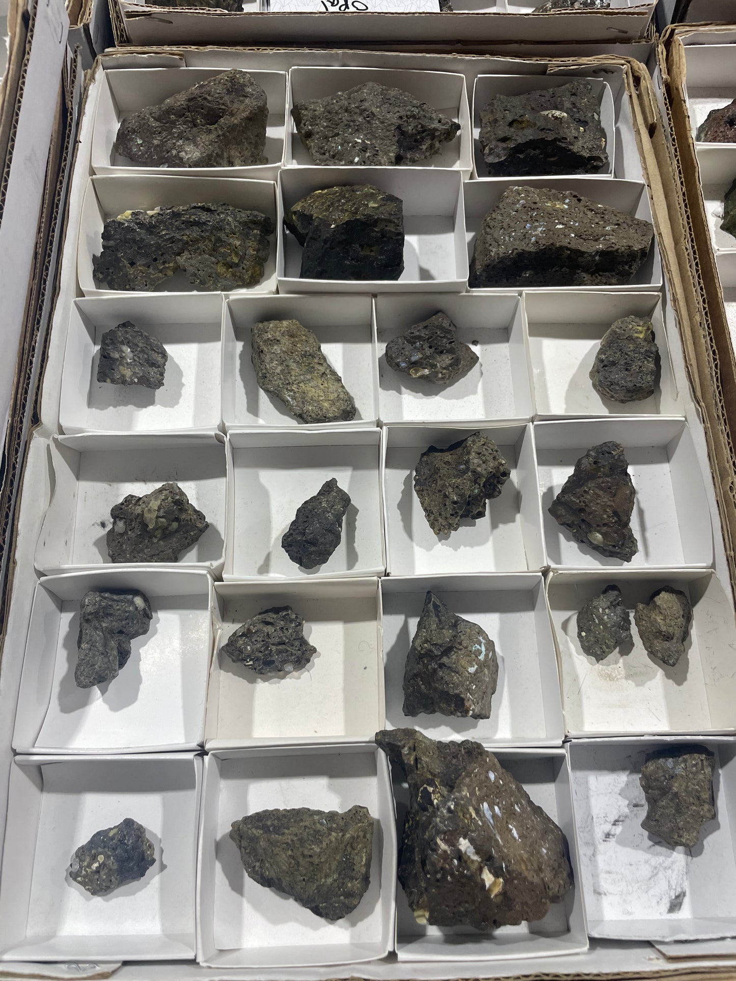 Canadian Opal (Flat)