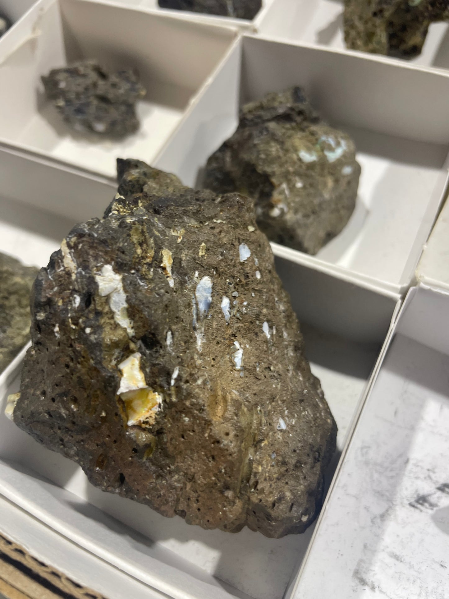 Canadian Opal (Flat)
