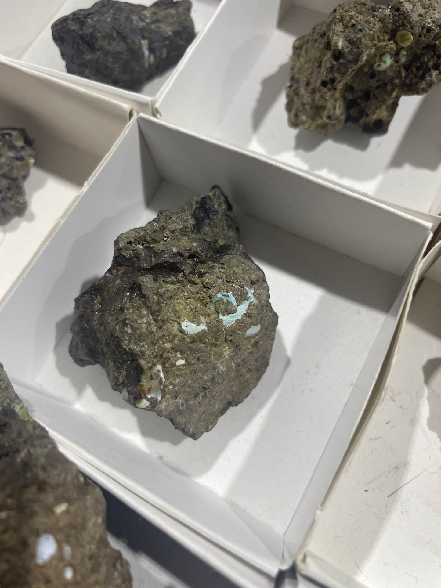 Canadian Opal (Flat)