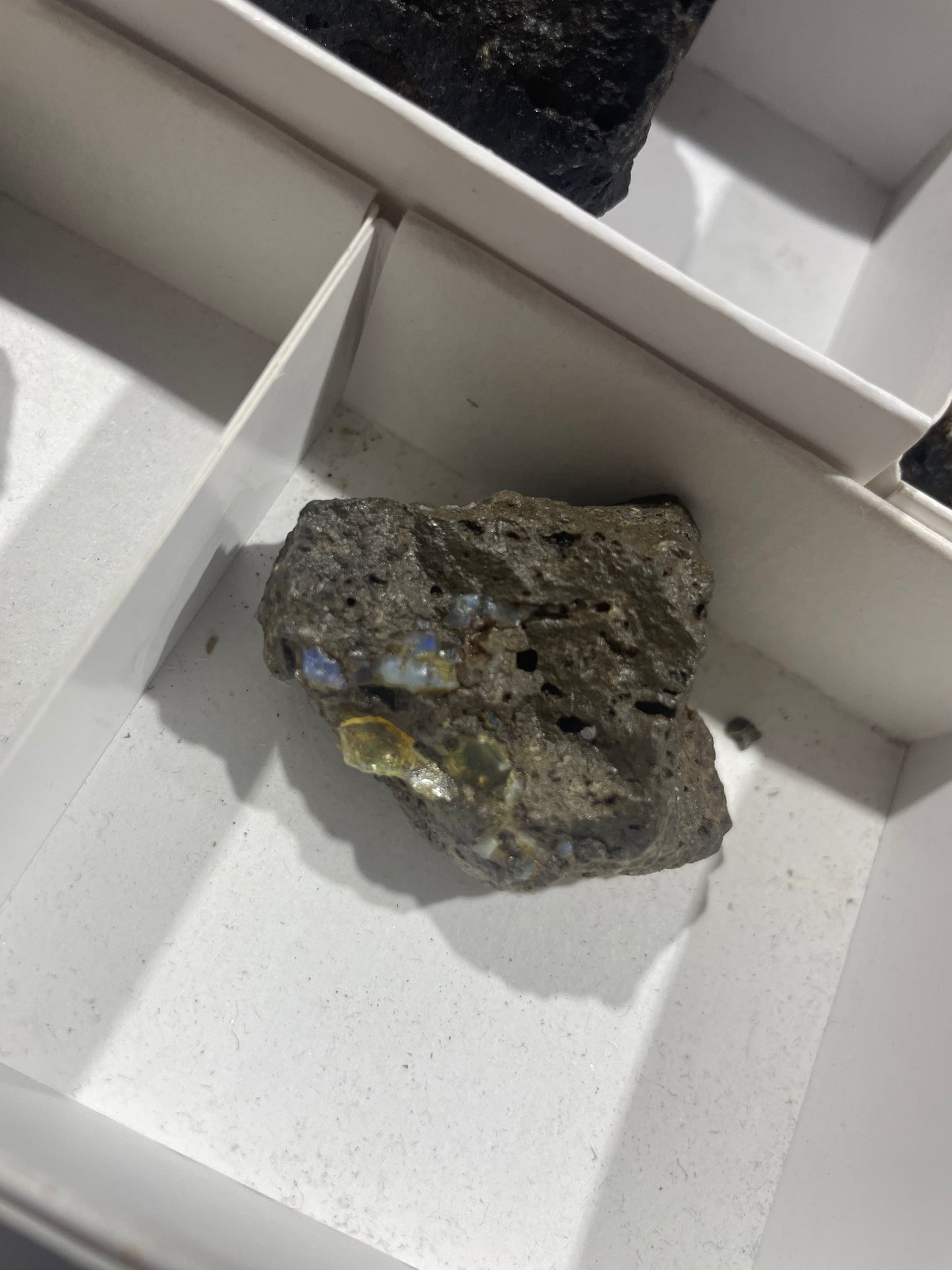 Canadian Opal (Flat)