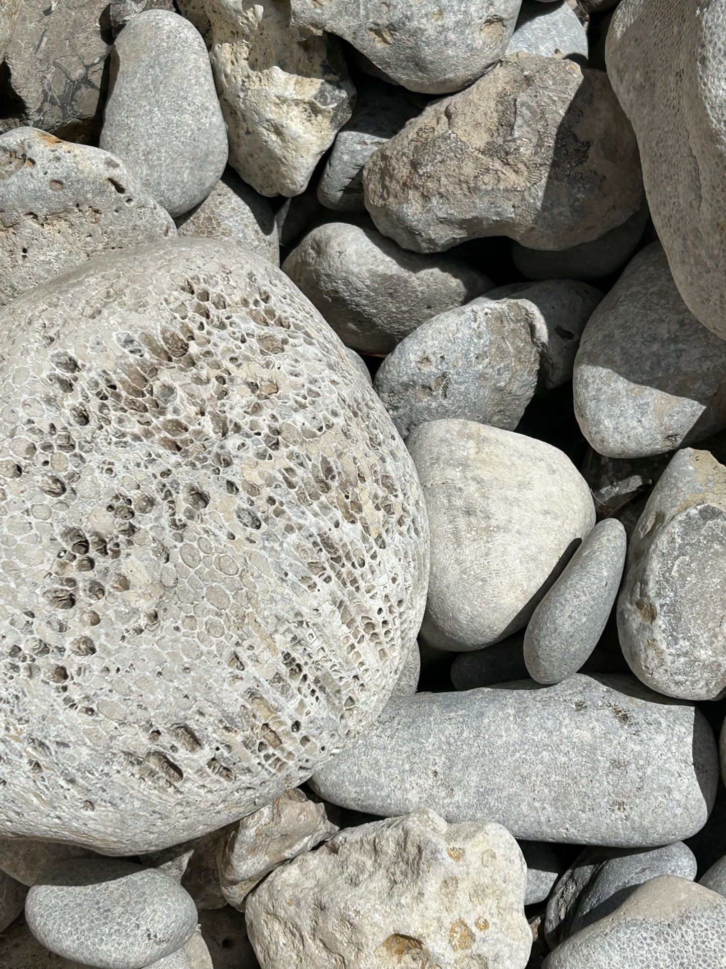 Petrosky Stone (10lb Lot)