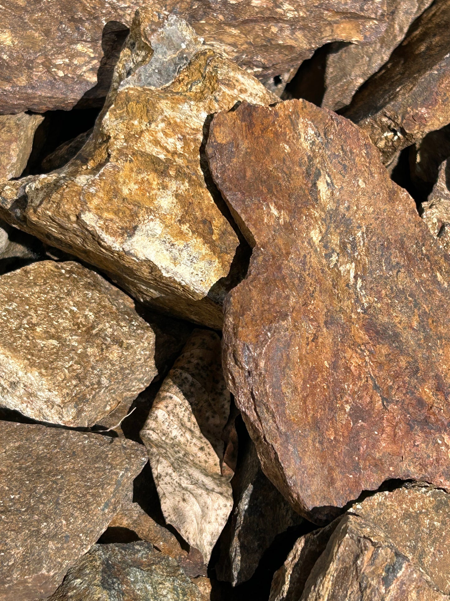 Bronzite (10lb Lot)