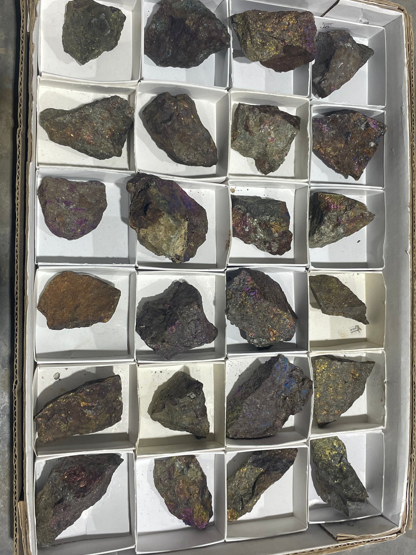 Canadian Chalcopyrite (Flat)