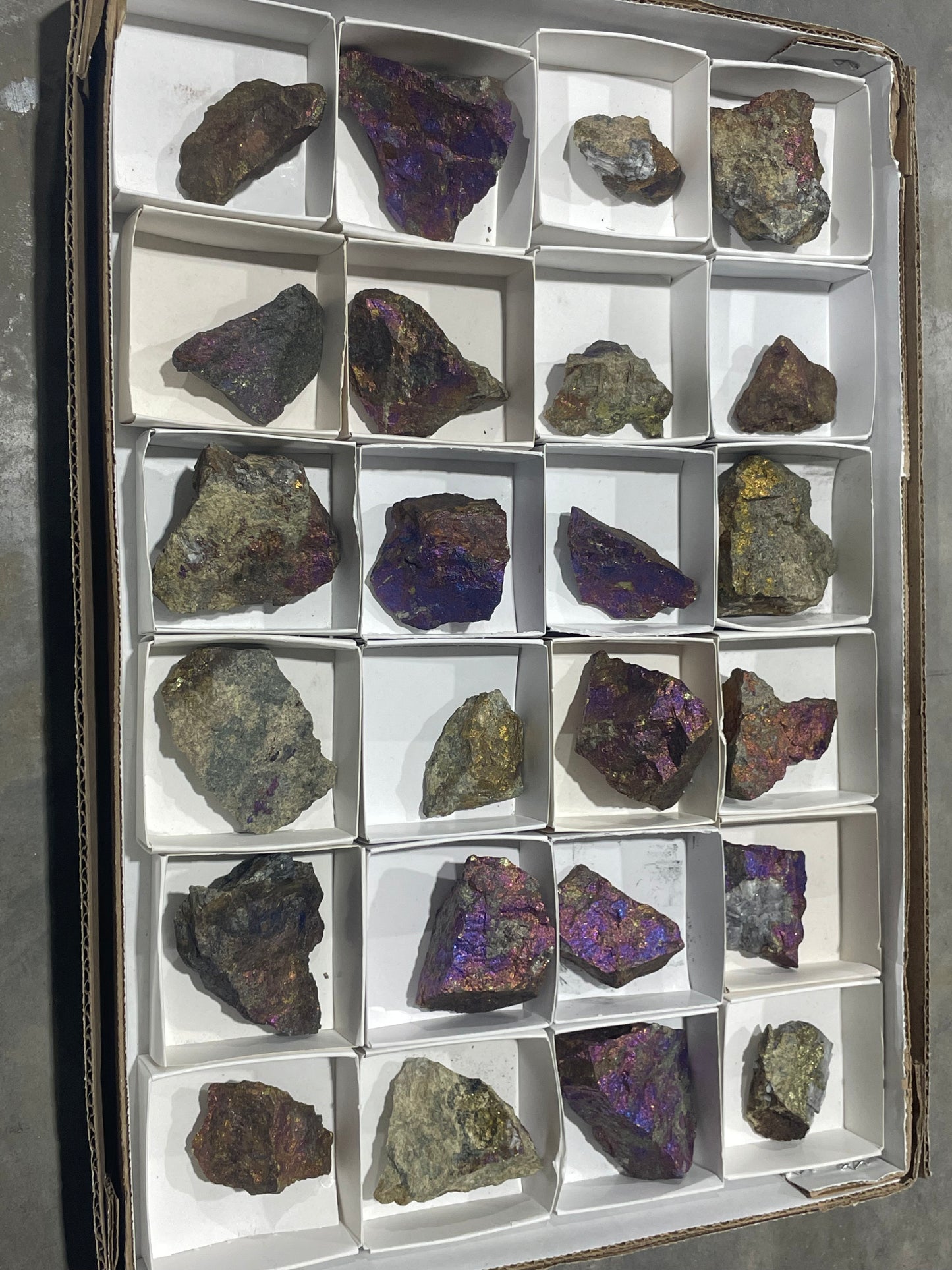 Canadian Chalcopyrite (Flat)