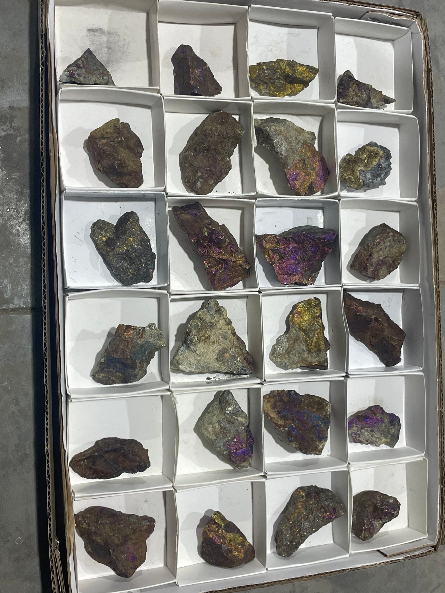 Canadian Chalcopyrite (Flat)