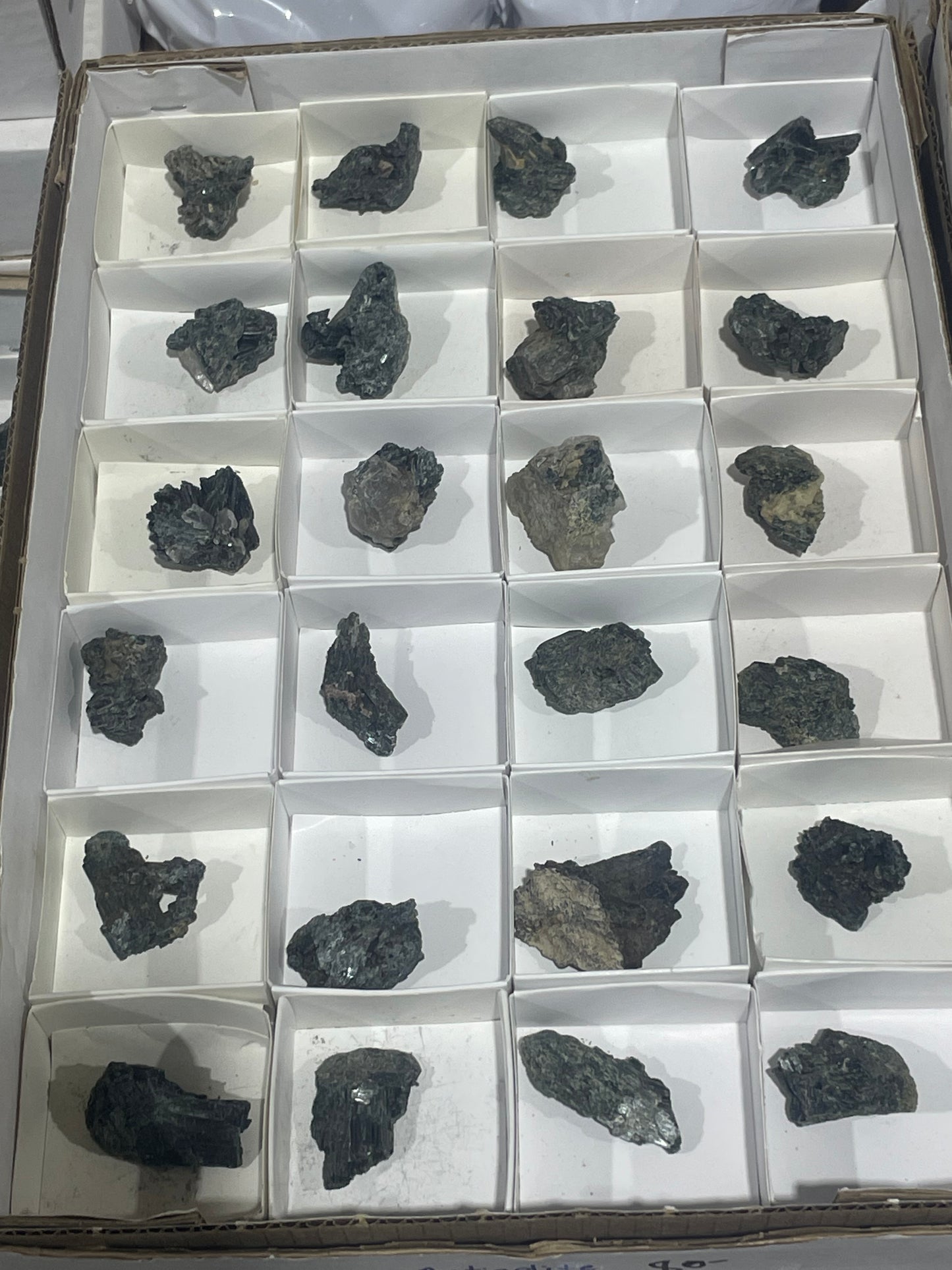 Canadian Actinolite (Flat)