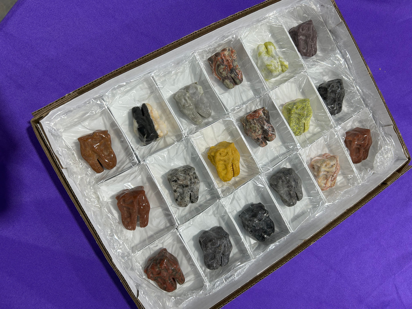 T-Rex Carvings (18pc)
