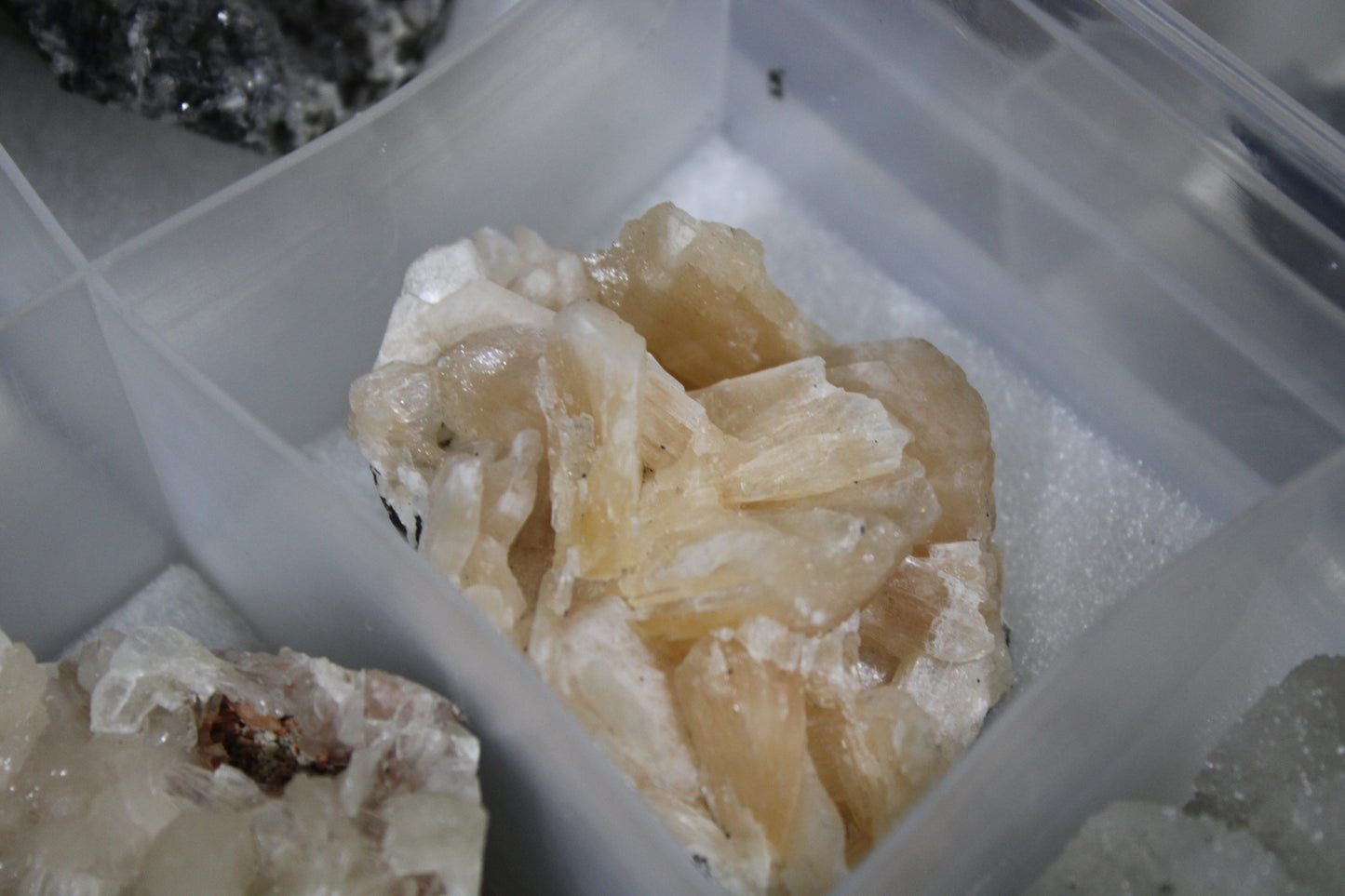 A Grade Zeolite (12 piece Flat)