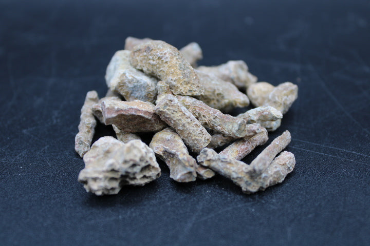 Fossilized Coral 1lb Bag