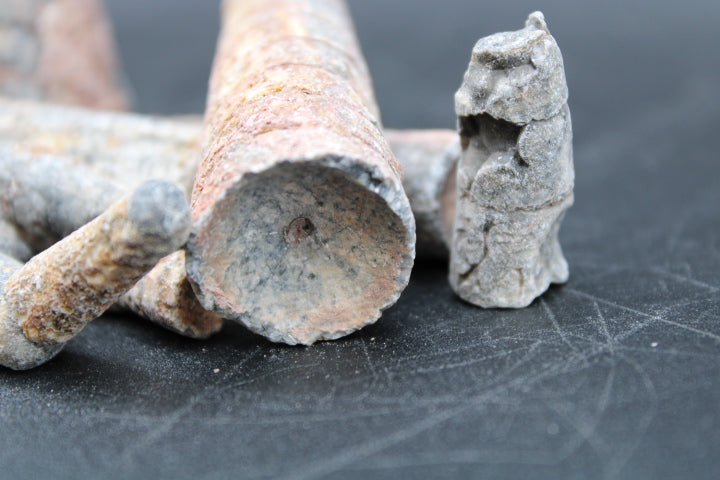 Fossilized Orthoceras 1lb Bag
