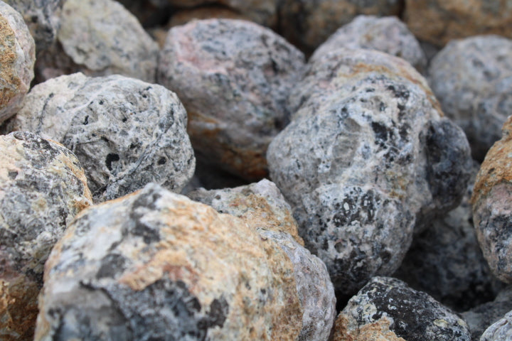 Coconut Geodes (10lb Lot)