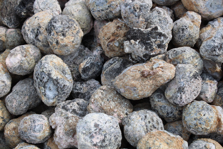 Coconut Geodes (10lb Lot)