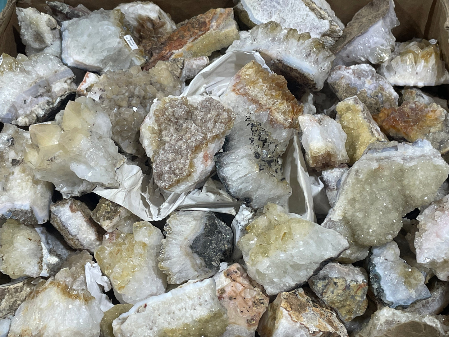 Citrine Clusters (Case)