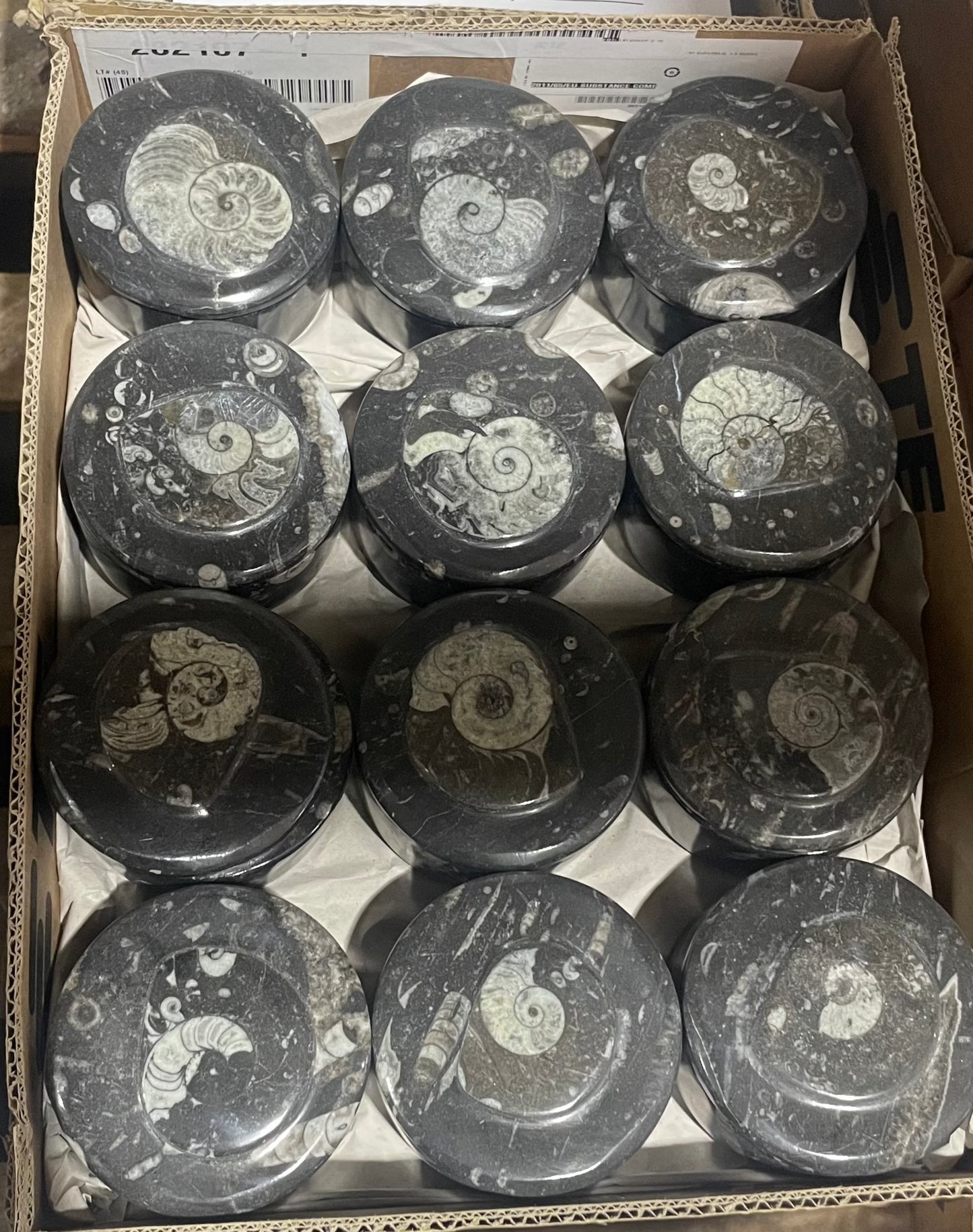 Goniatite Round Bowl with Lid (Case)