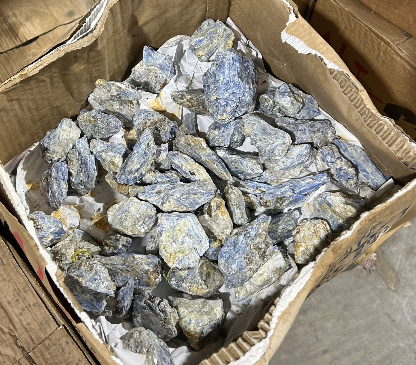 Blue Kyanite Specimens (Case)