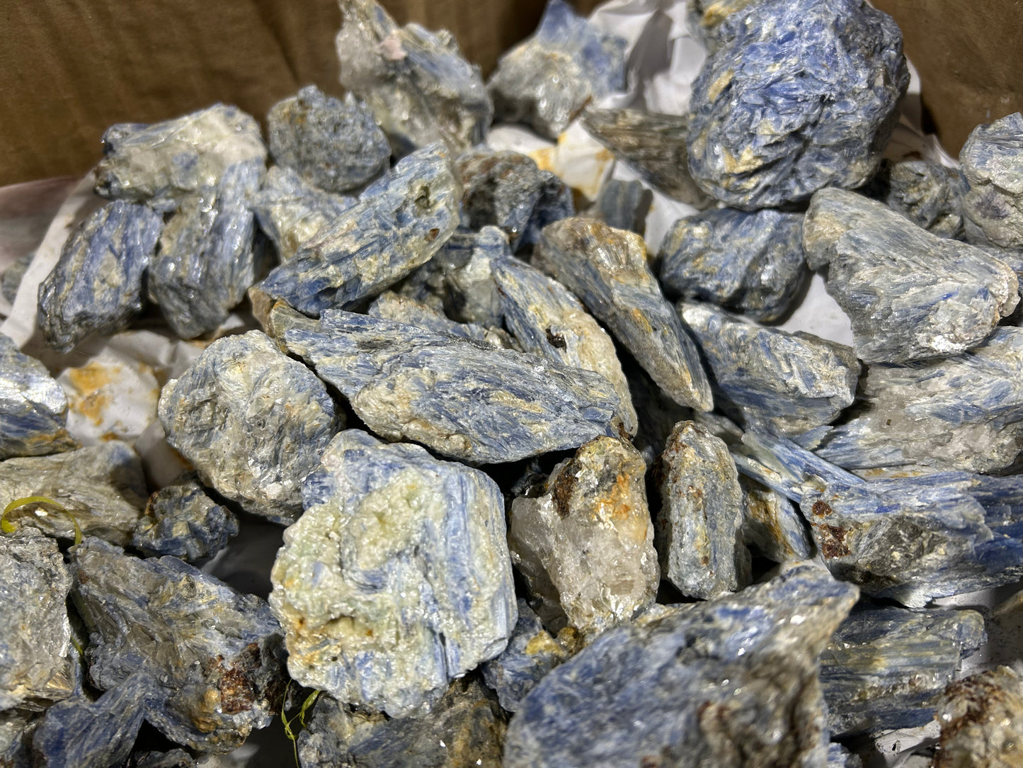 Blue Kyanite Specimens (Case)