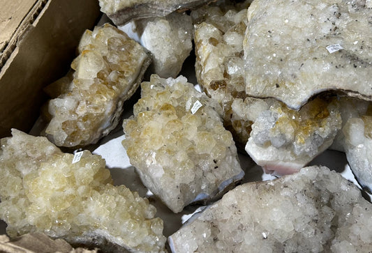 Large Citrine Clusters (Case)