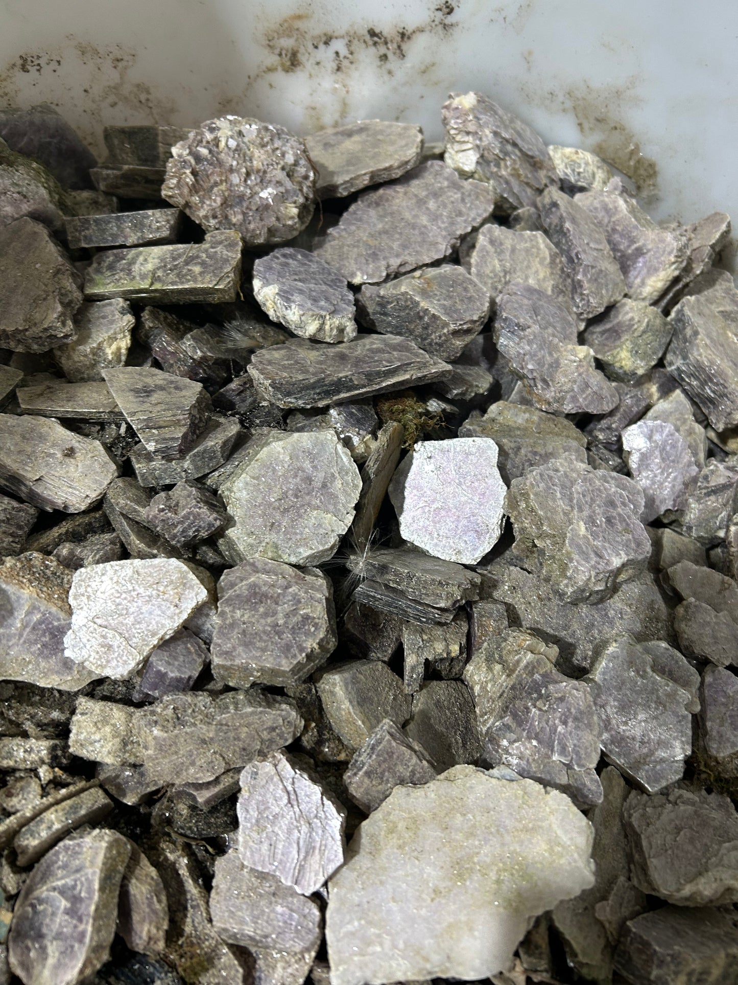 Lepidolite Crystal Lot (10lb)