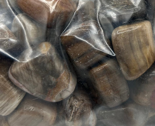 Petrified Wood 1lb Tumbled Bag