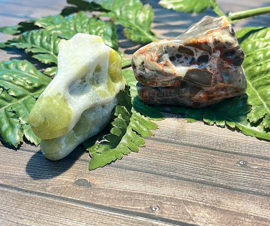 T-Rex Carvings (18pc)