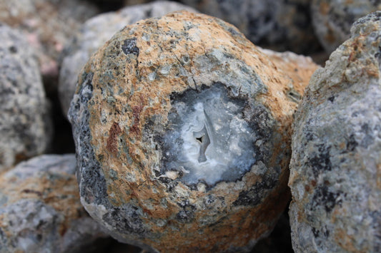 Coconut Geodes (10lb Lot)