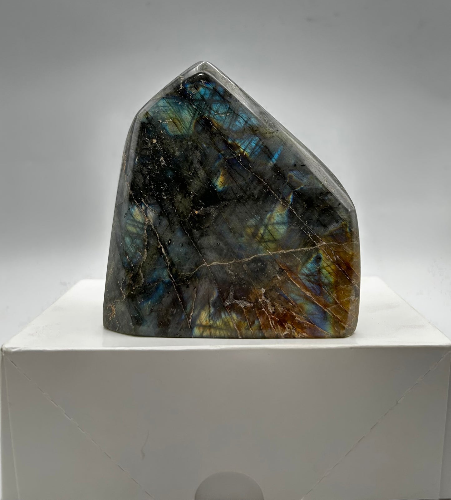 Labradorite Free Forms (6 Pc) Madagascar