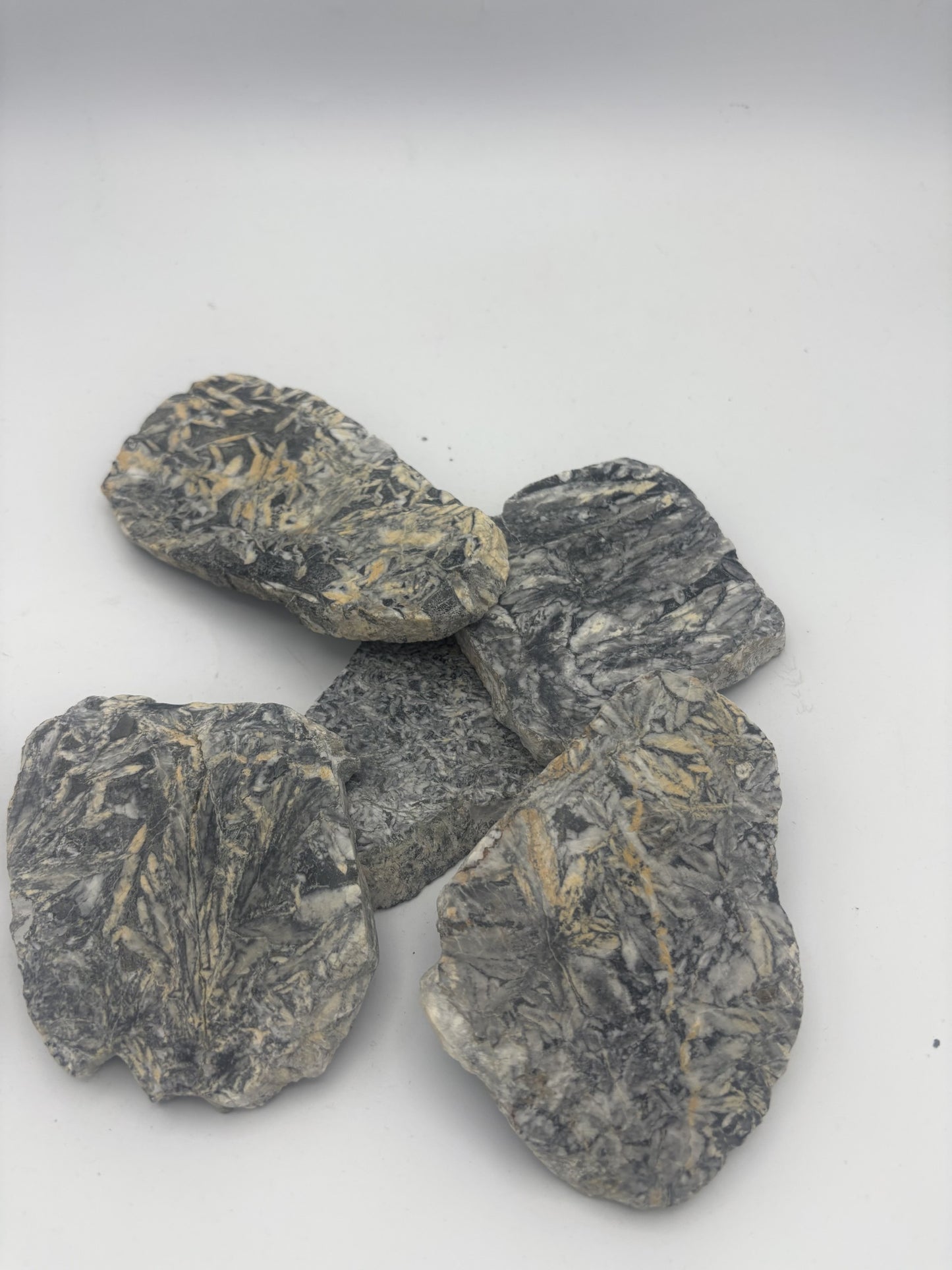 Pinolith Slabs (1kg Bag)
