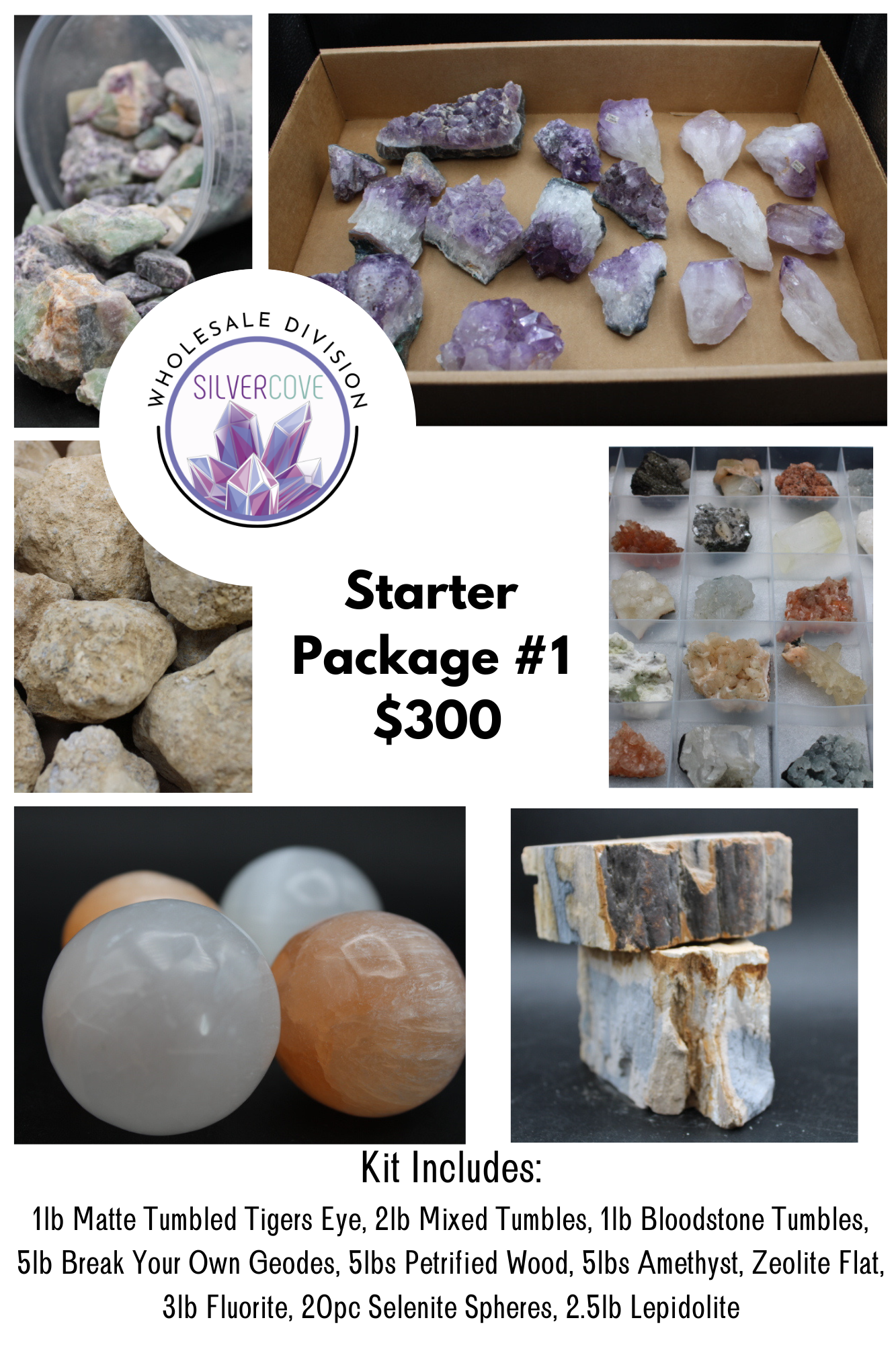 Starter Kit #1 Diversity